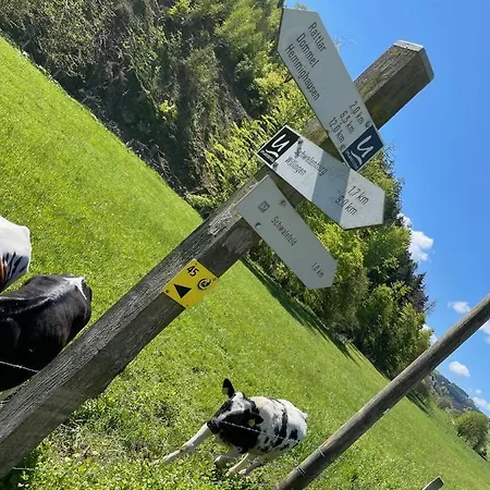 Up Willingen-schwalefeld Apartment