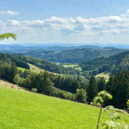Up Willingen-schwalefeld Appartement