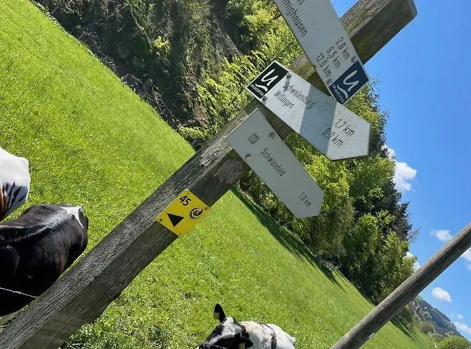 Up Willingen-schwalefeld 아파트