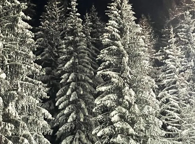 Up Willingen-schwalefeld 아파트 빌링겐