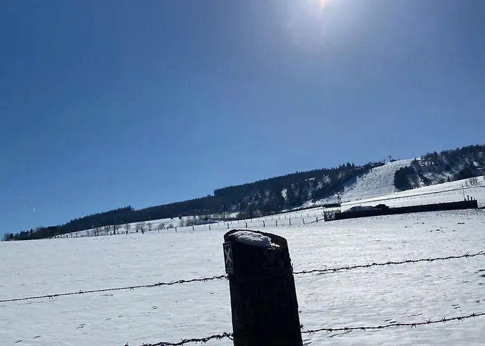 Up Willingen-schwalefeld 빌링겐